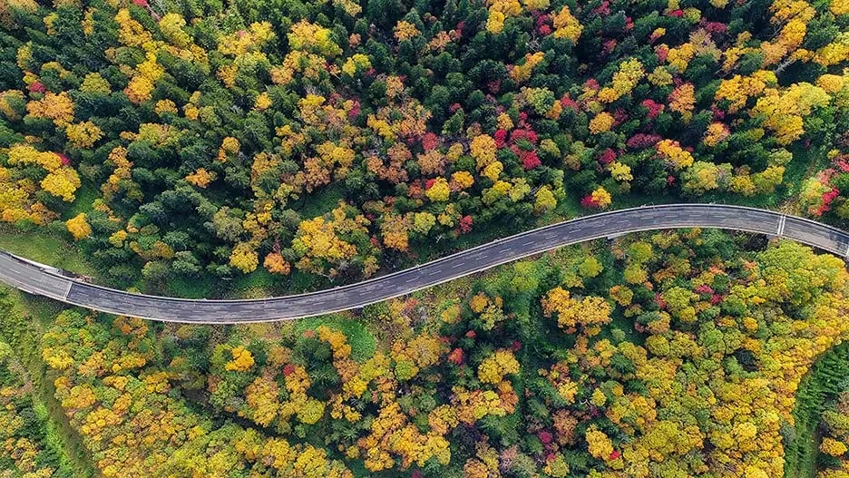 動画プランのイメージ画像